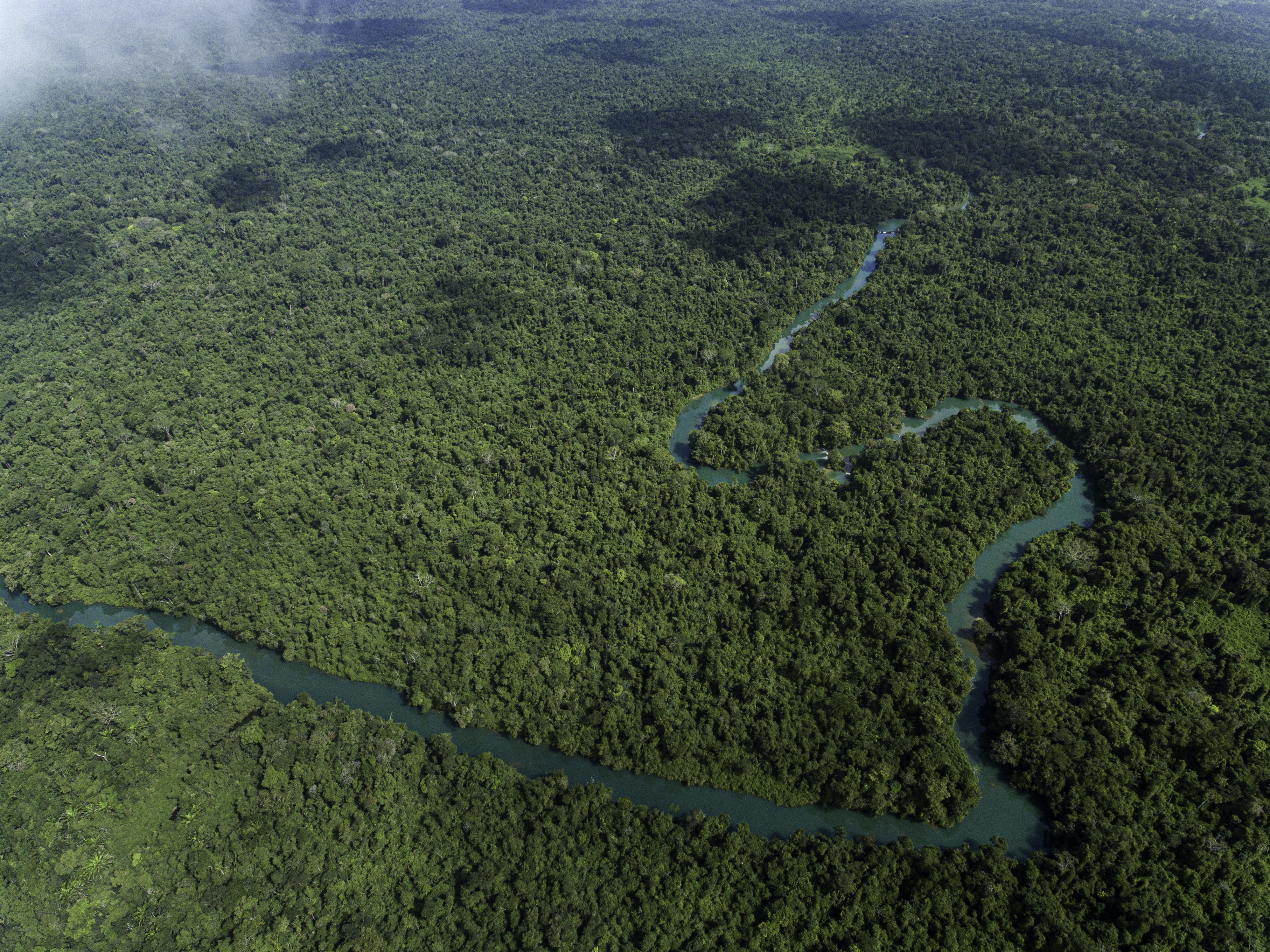 Selva lacandona. Foto: Miguel &Aacute;ngel Sicilia.