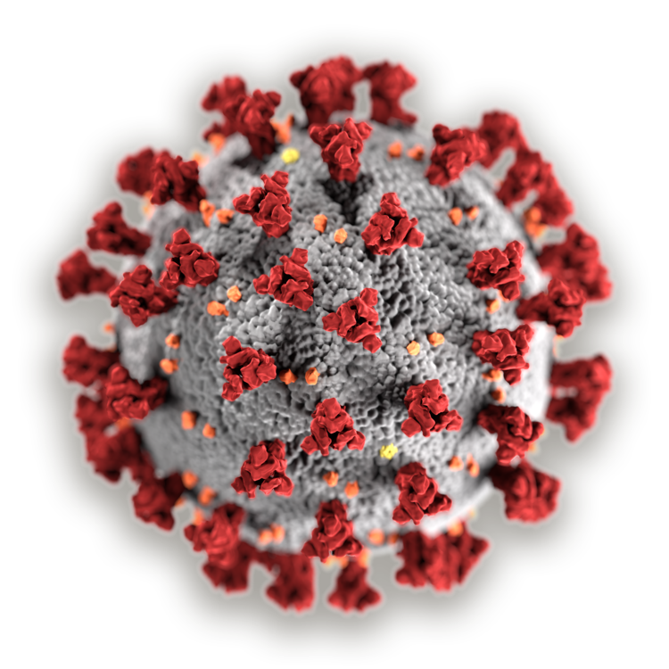 Virus del SARS-CoV-2