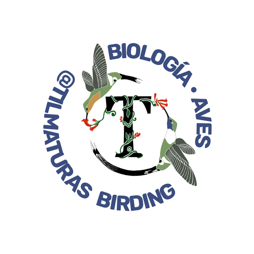Tilmaturas