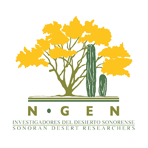 Investigadores del desierto sonorense